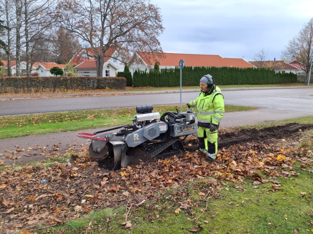 Professionell stubbfräsning i Norrköping där en arbetare tar bort en stubbe med modern stubbfräs på öppen gräsyta.